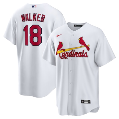 St. Louis Cardinals Men Jerseys 2025-11-11-011